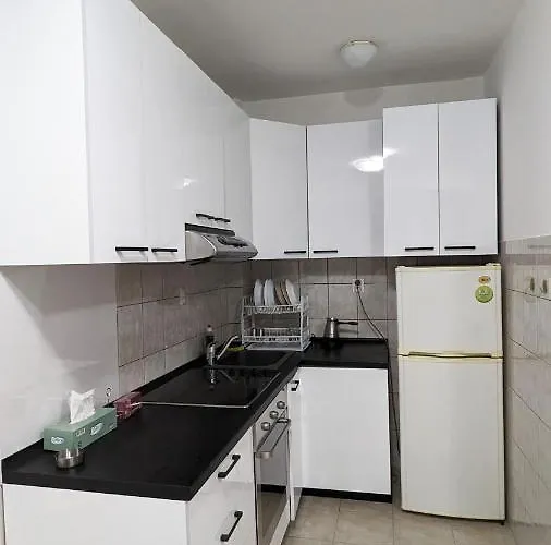 Lungro's Diamond Daire *